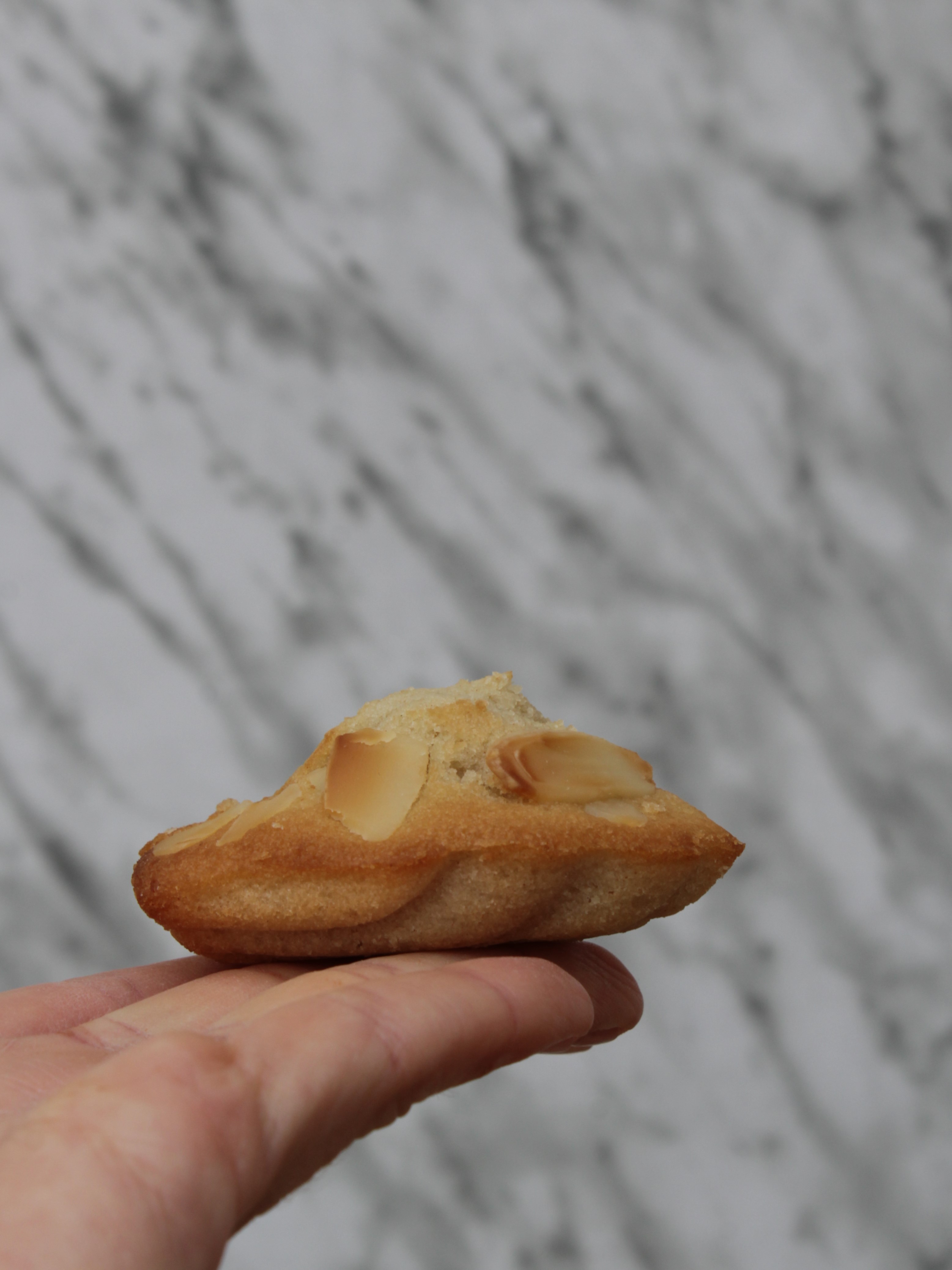 Financier d'ametlla